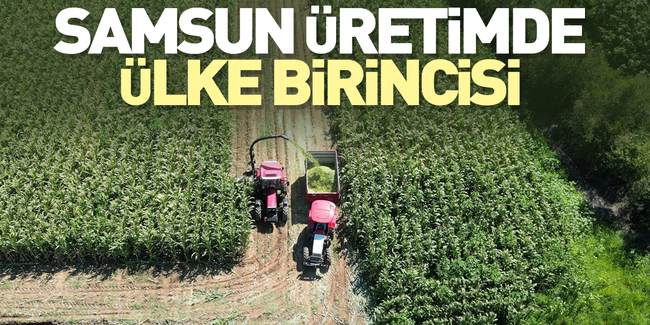 Samsun üretimde ülke birincisi