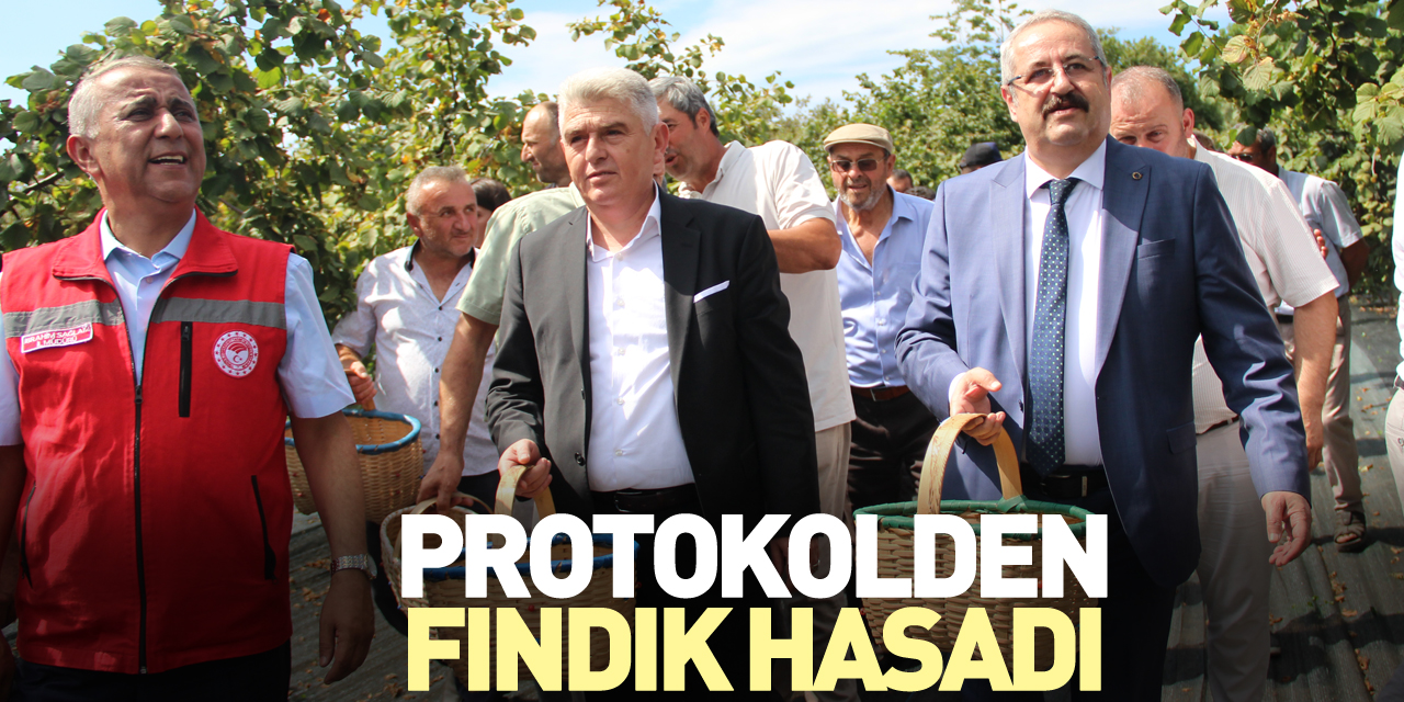 Protokolden Fındık Hasadı