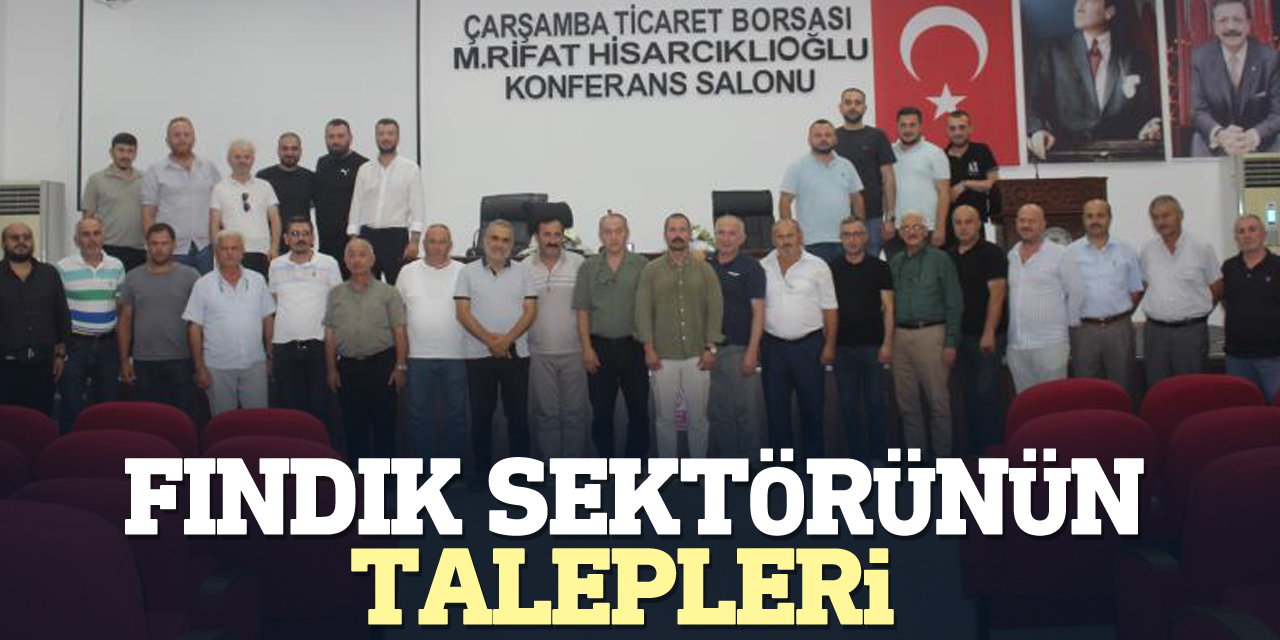 Fındık sektörünün talepleri