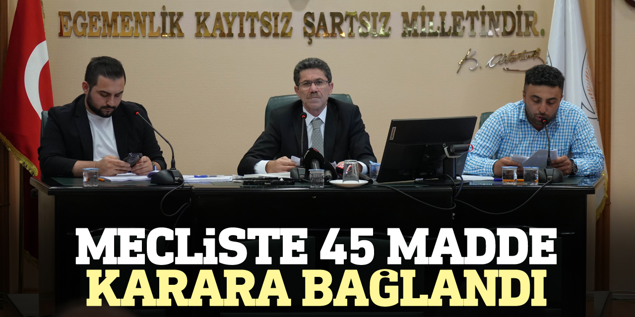 45 madde karara bağlandı