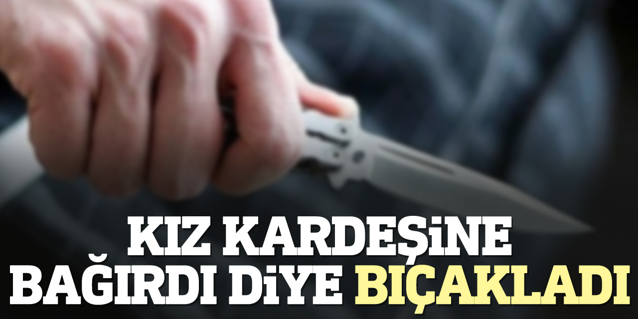 Kız kardeşine bağırdı diye bıçakladı