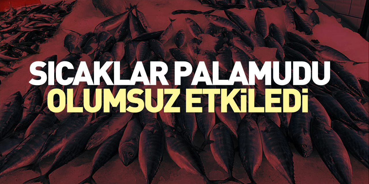 SICAKLAR PALAMUDU OLUMSUZ ETKİLEDİ