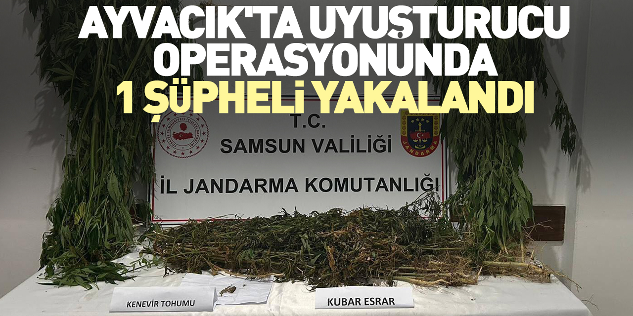 Ayvacık'ta uyuşturucu operasyonunda 1 şüpheli yakalandı