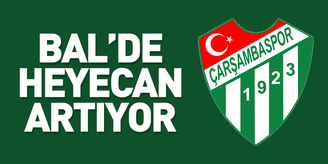 BAL’de Heyecan artıyor