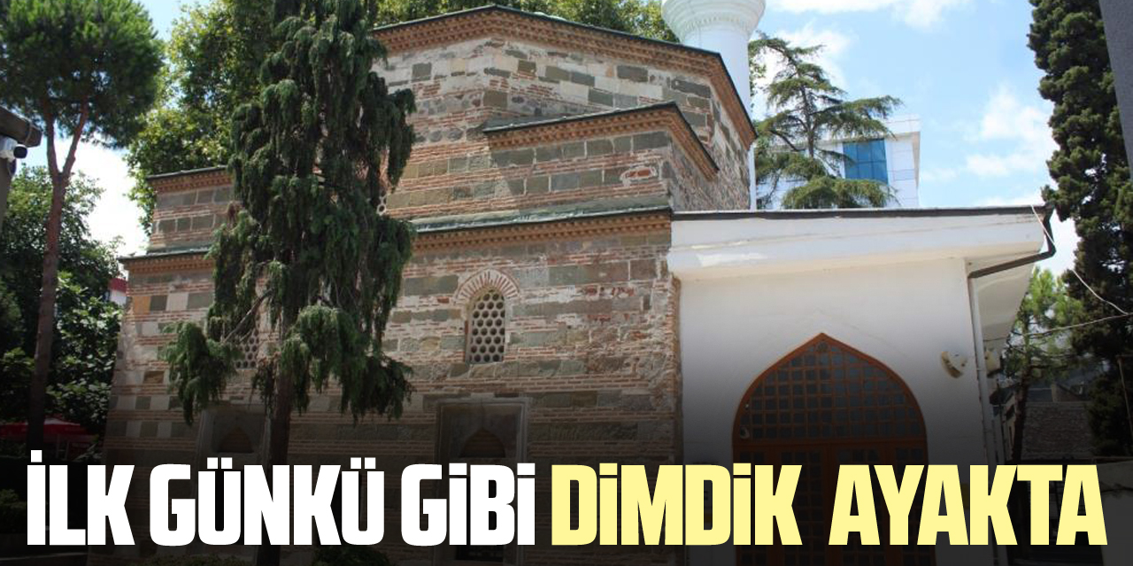 İLK GÜNKÜ GİBİ DİMDİK  AYAKTA