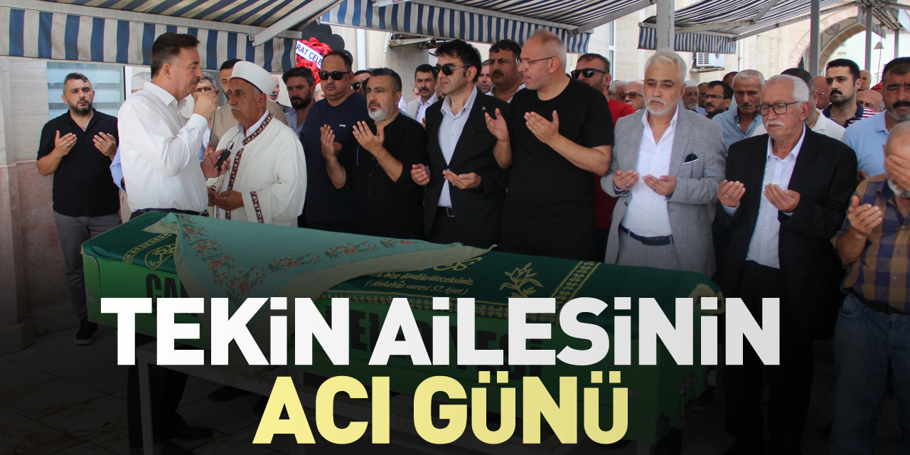 Tekin Ailesinin Acı Günü