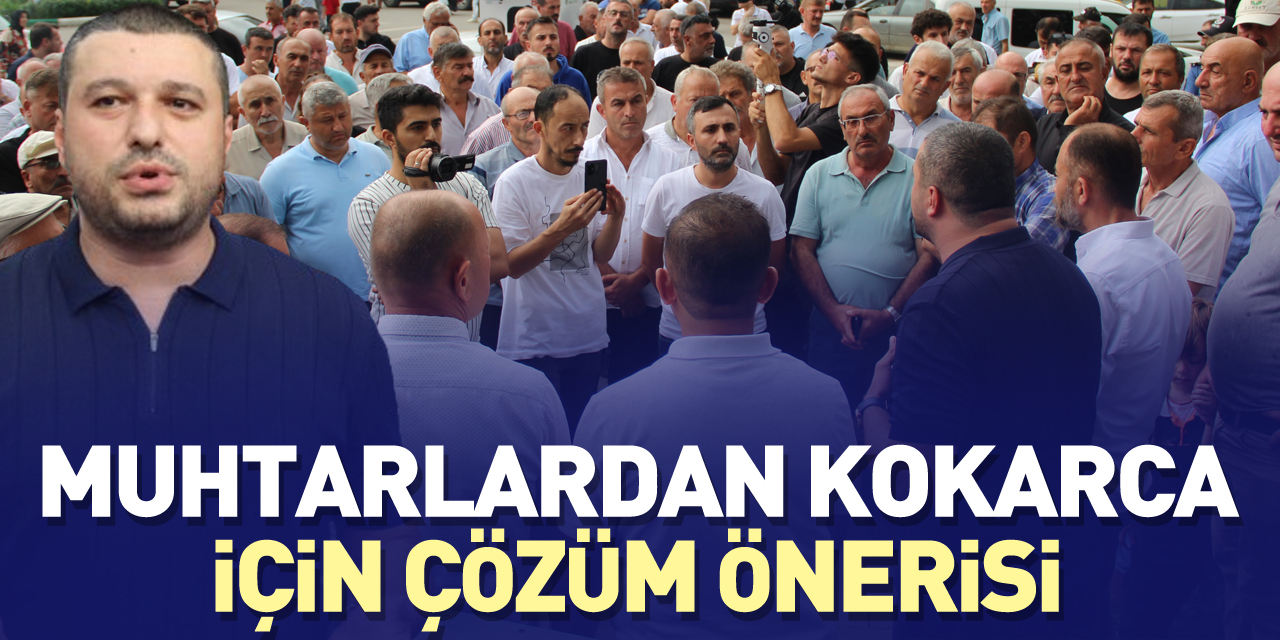 MUHTARLARDAN KOKARCA İÇİN ÇÖZÜM ÖNERİSİ