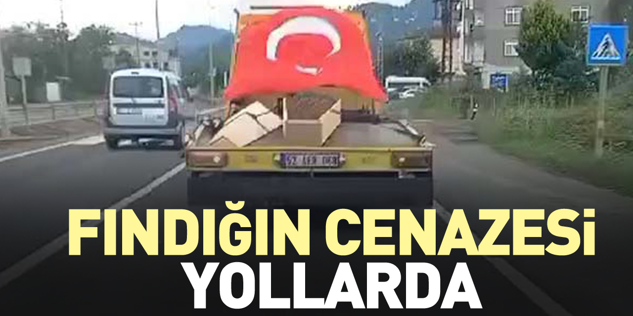 FINDIĞIN CENAZESİ YOLLARDA