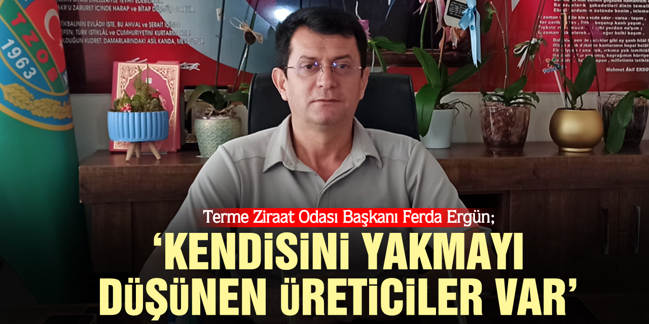 Terme Ziraat Odası Başkanı Ferda Ergün;  ‘KENDİSİNİ YAKMAYI DÜŞÜNEN ÜRETİCİLER VAR’