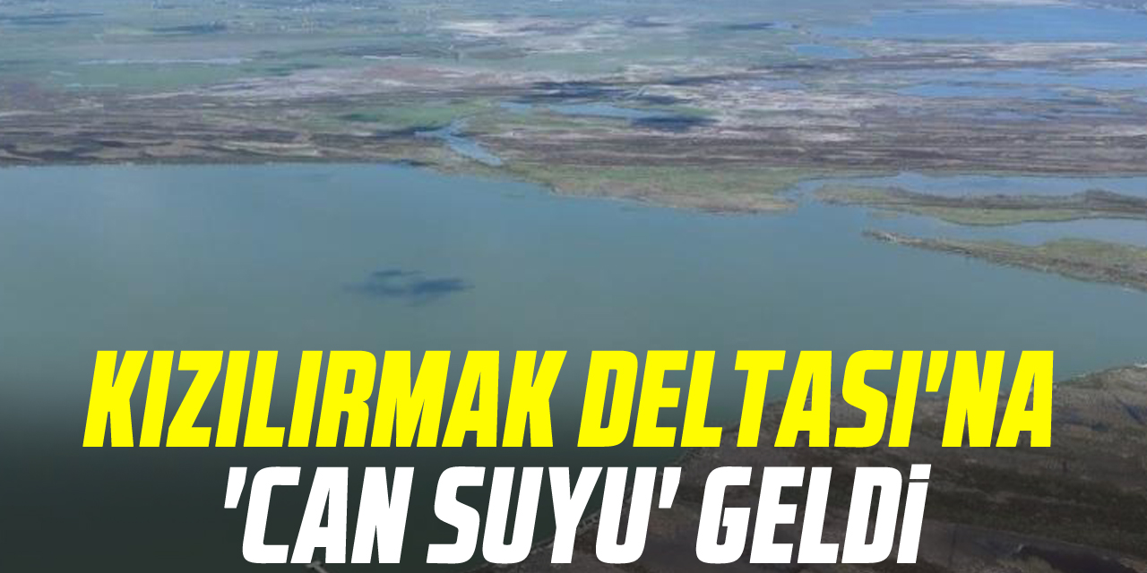 Kızılırmak Deltası'na 'can suyu' GELDi