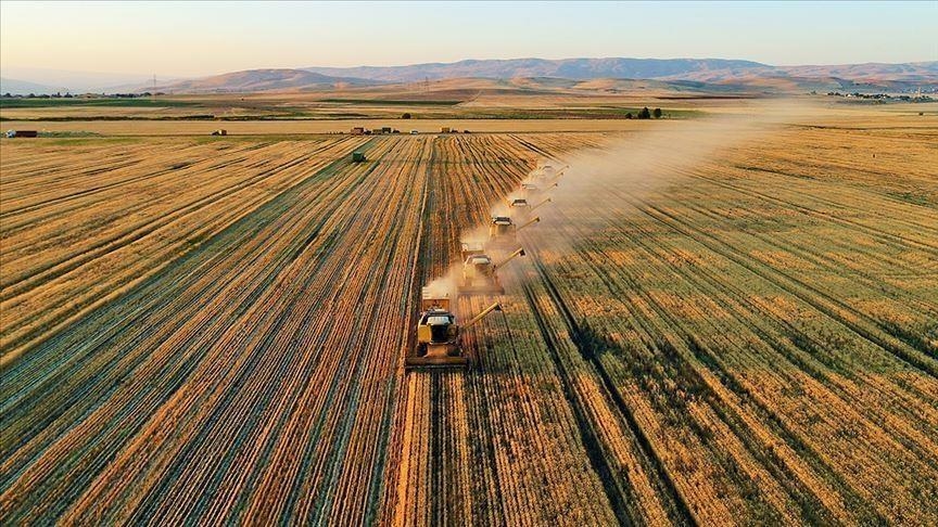 Çiftçilere 1,9 milyar liradan fazla tarımsal destekleme ödemesi yapıldı