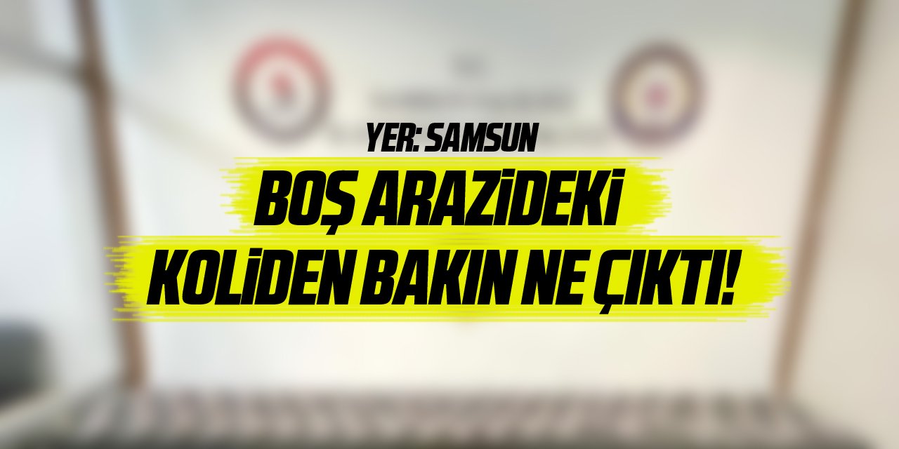 Boş arazideki koliden bakın ne çıktı!