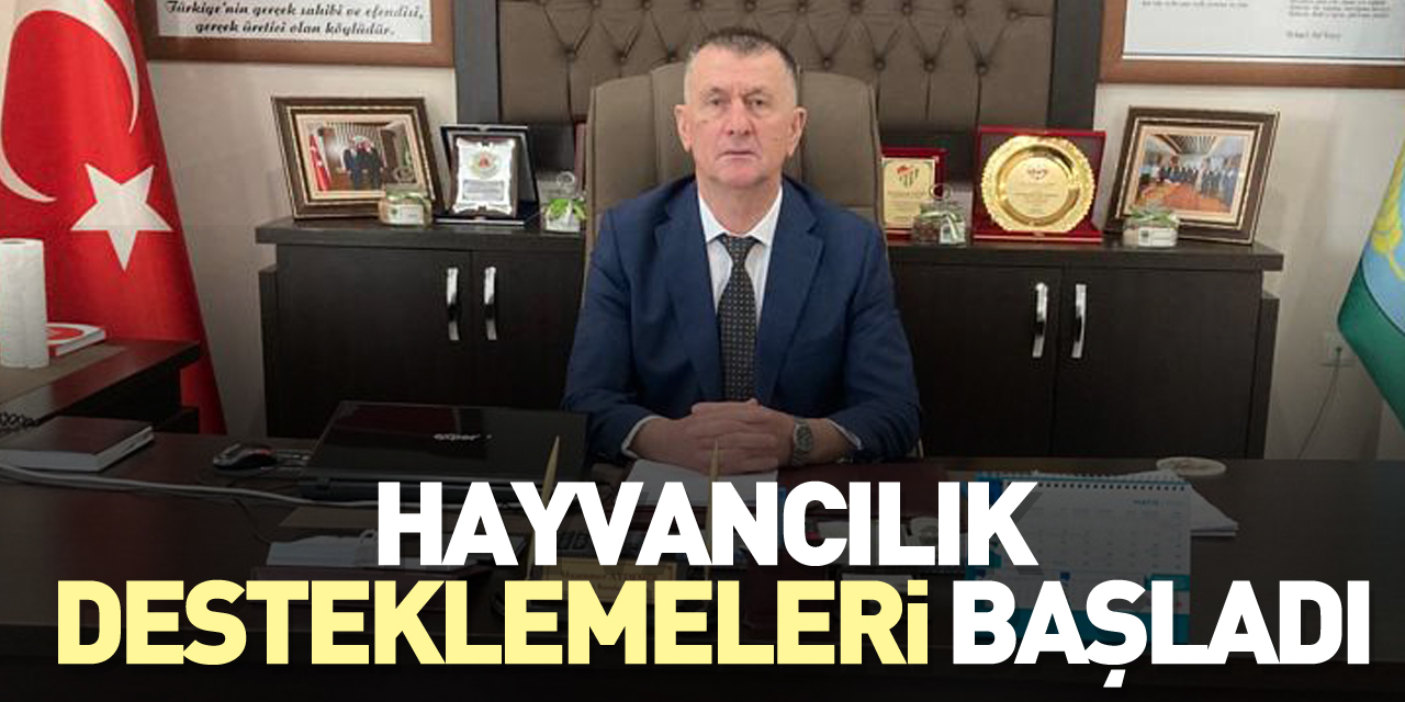 HAYVANCILIK DESTEKLEMELERİ BAŞLADI