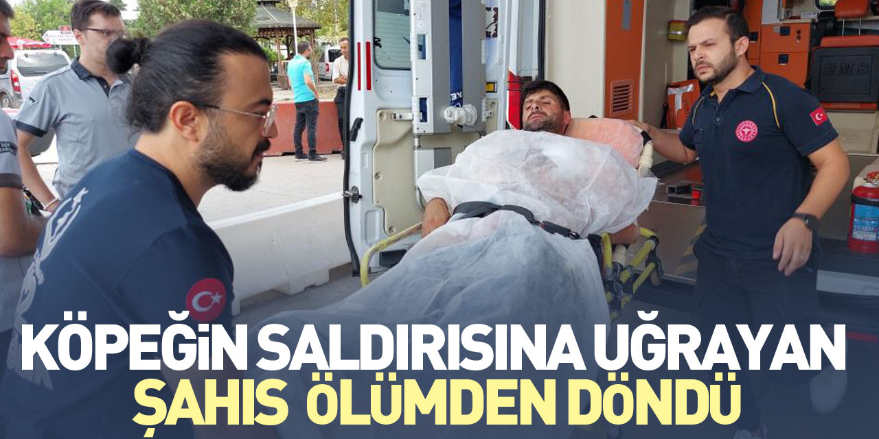 Köpeğin saldırısına uğrayan şahıs  ölümden döndü