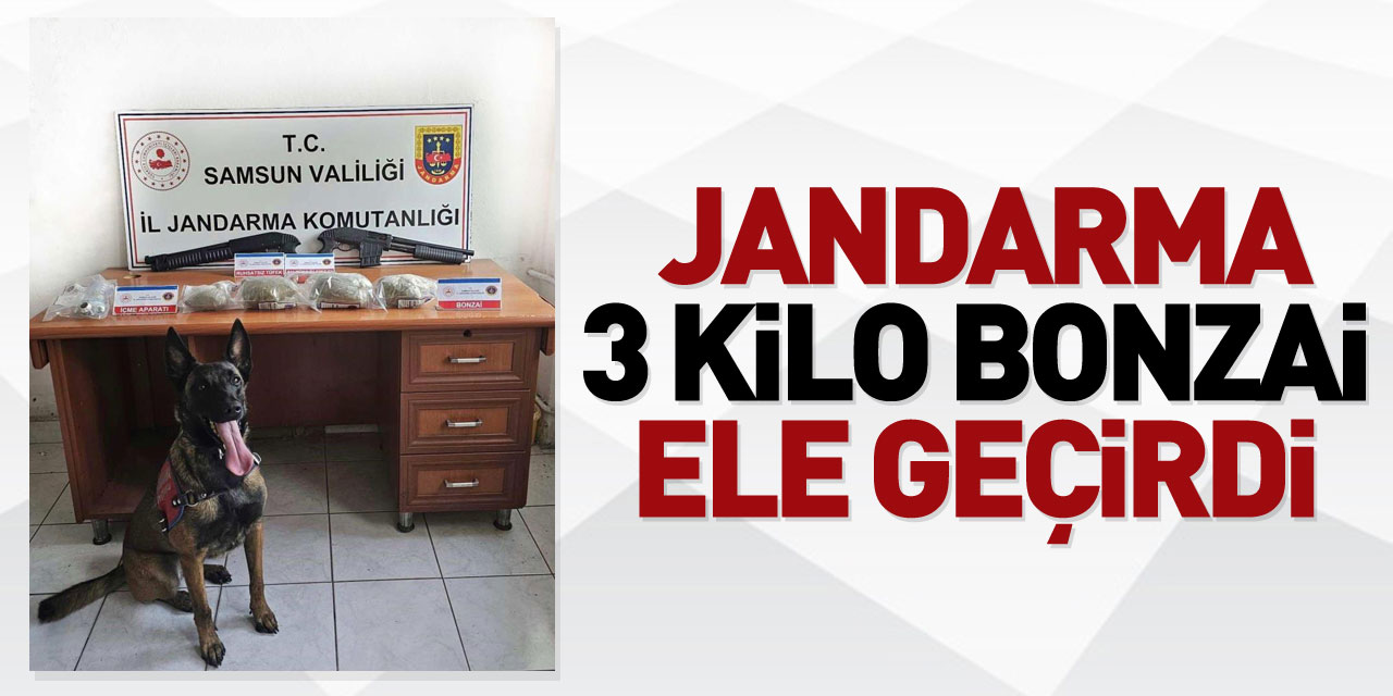 jandarma 3 kilo bonzai ele geçirdi