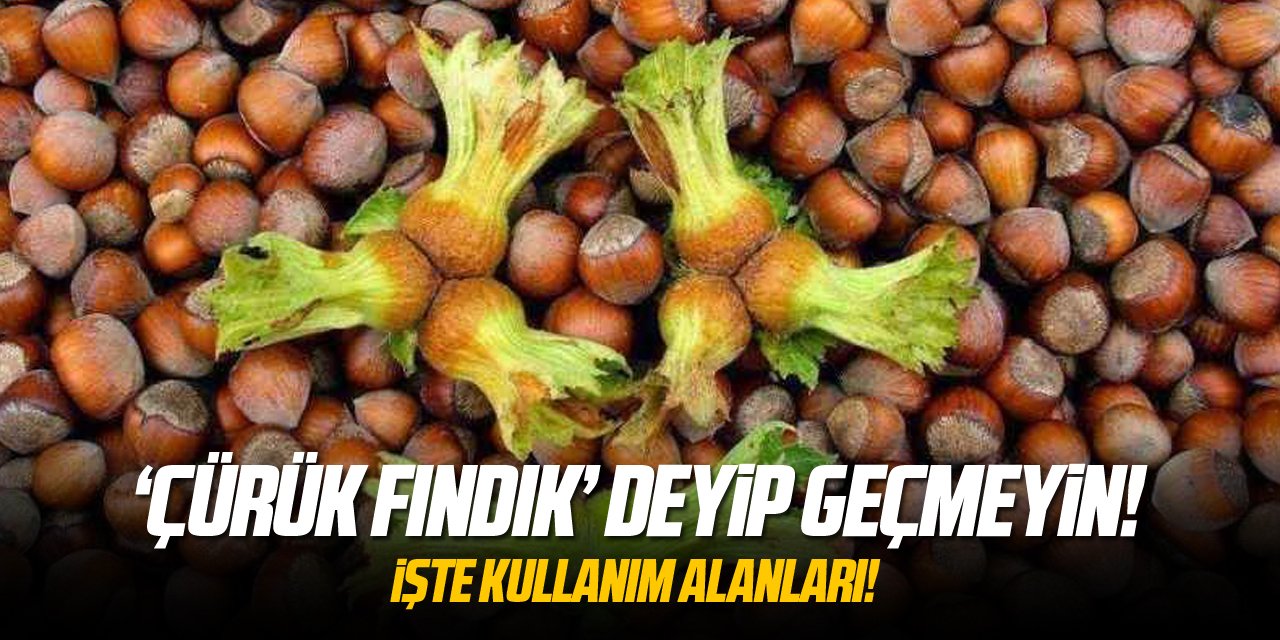 'Çürük Fındık' deyip geçmeyin!