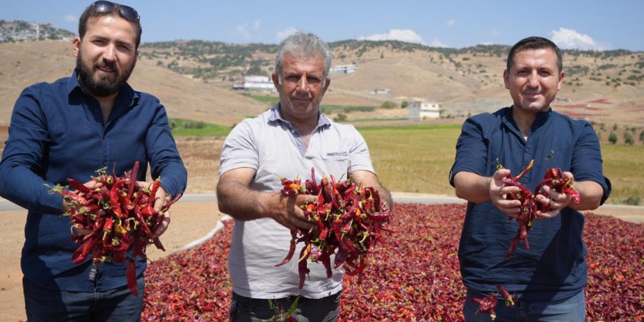 Biber kurutma mesaisi başladı