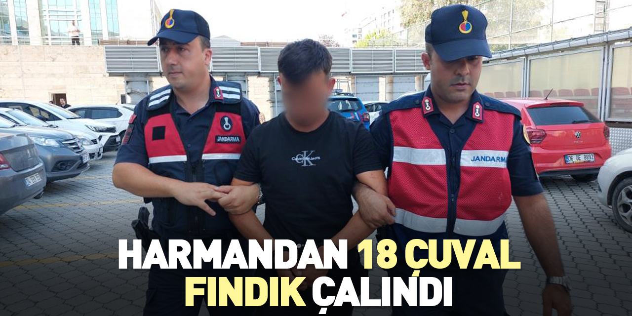 Harmandan 18 çuval fındık çalındı