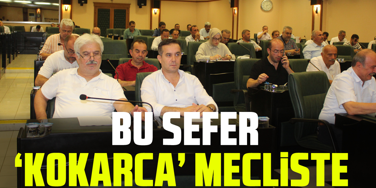 Bu sefer ‘kokarca’ mecliste