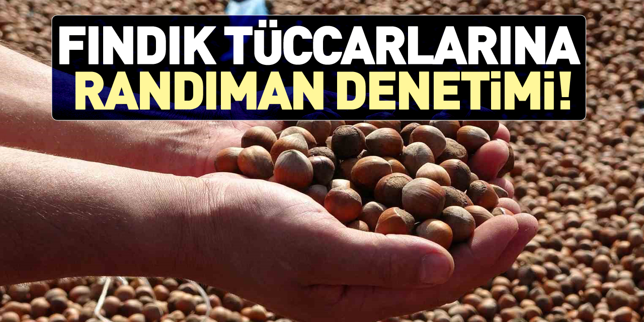 Fındık Tüccarlarına Randıman Denetimi!