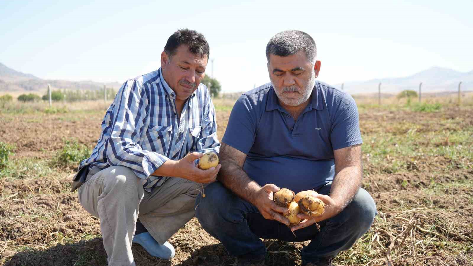 Çiftçiler, bin liranın üzerinde yevmiyeyle çalıştıracak işçi bulamakta zorlanıyor