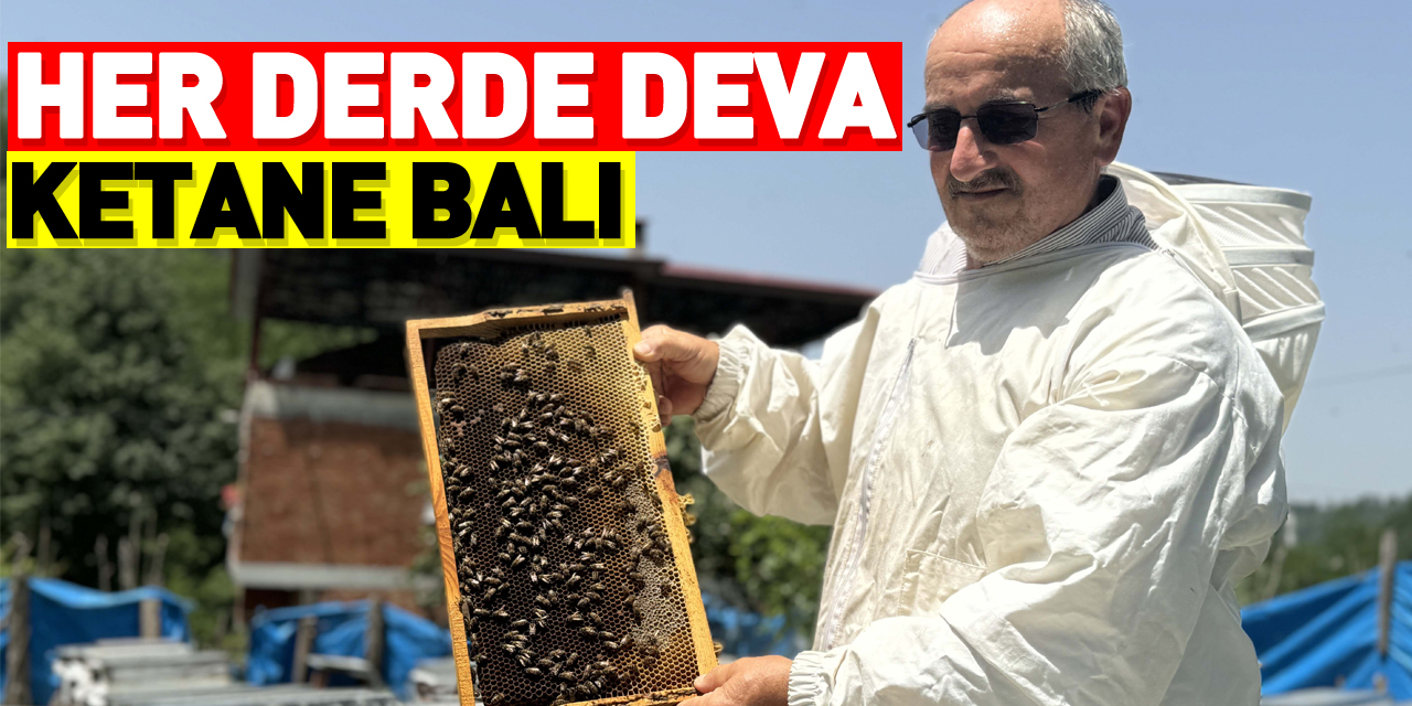 KESTANE BALI HER DERDE DEVA