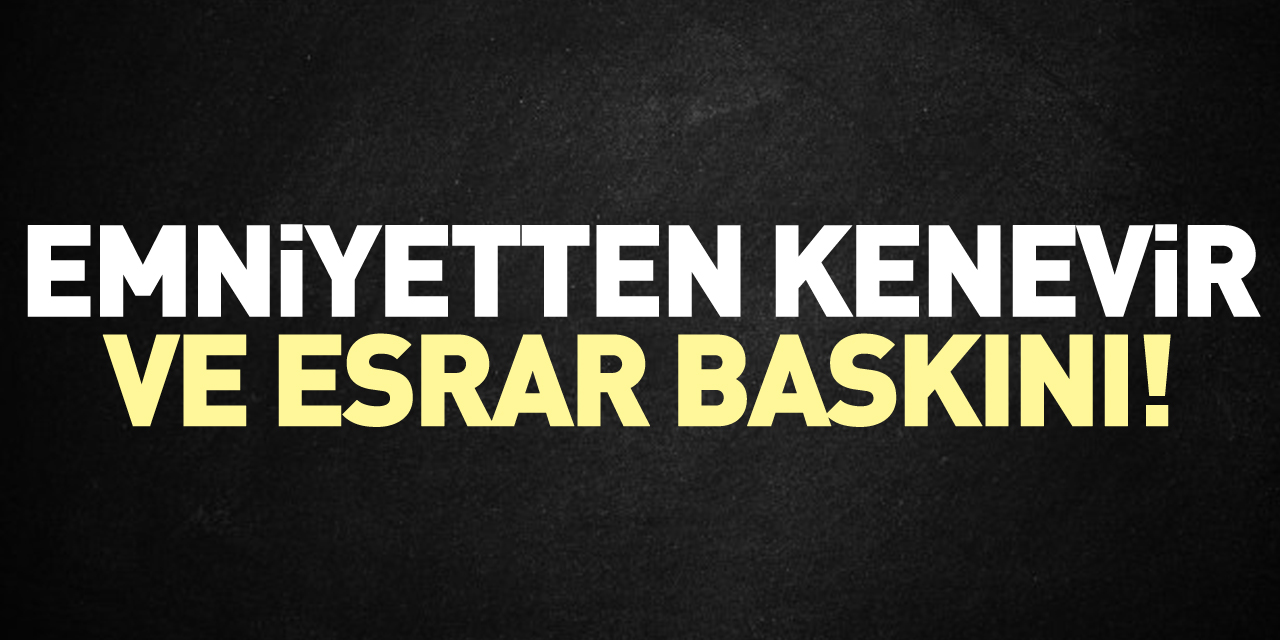 Emniyetten kenevir ve esrar baskını!