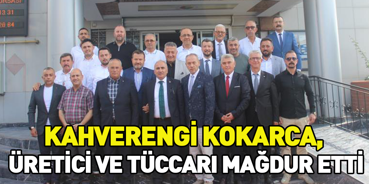 Kahverengi kokarca, üretici ve tüccarı mağdur etti’