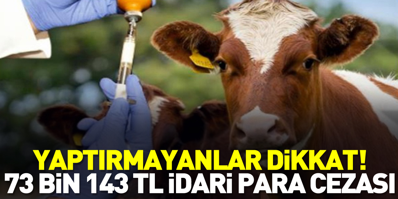 Yaptırmayanlara 73 bin 143 TL idari para cezası