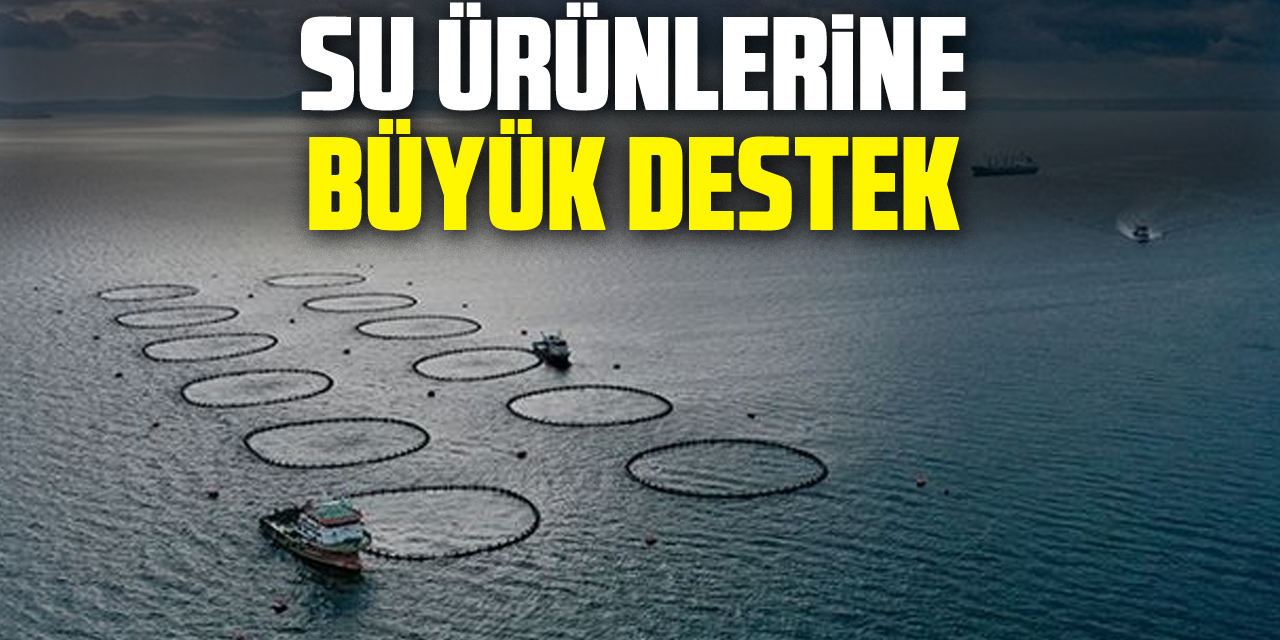 Su ürünlerine büyük destek