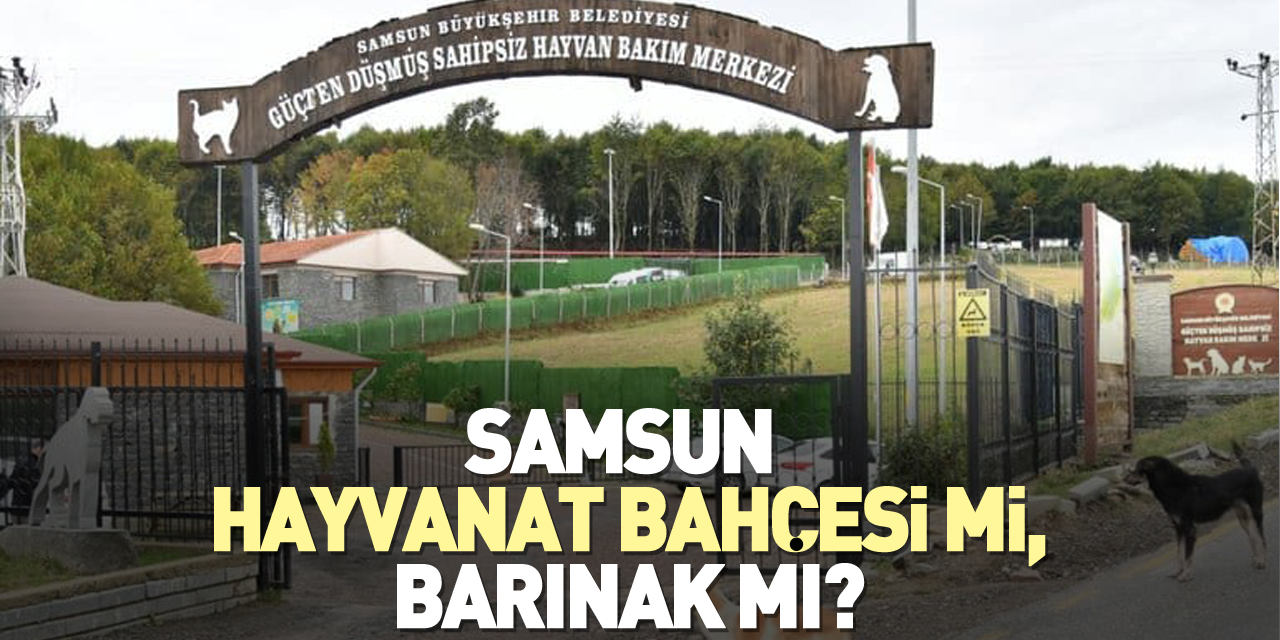 SAMSUN HAYVANAT BAHÇESİ Mİ, BARINAK MI?