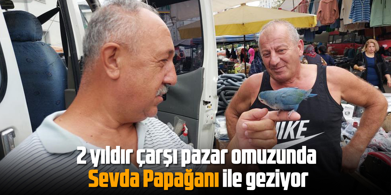 2 yıldır çarşı pazar omuzunda Sevda Papağanı ile geziyor