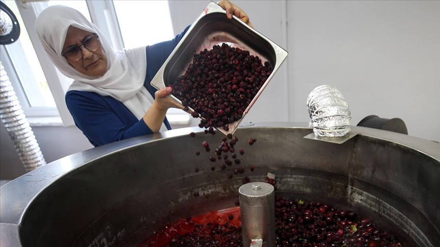 Kadın üreticiler devlet desteğiyle üretim kapasitesini artırdı