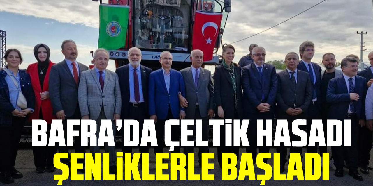 Bafra’da Çeltik Hasadı Şenliklerle Başladı