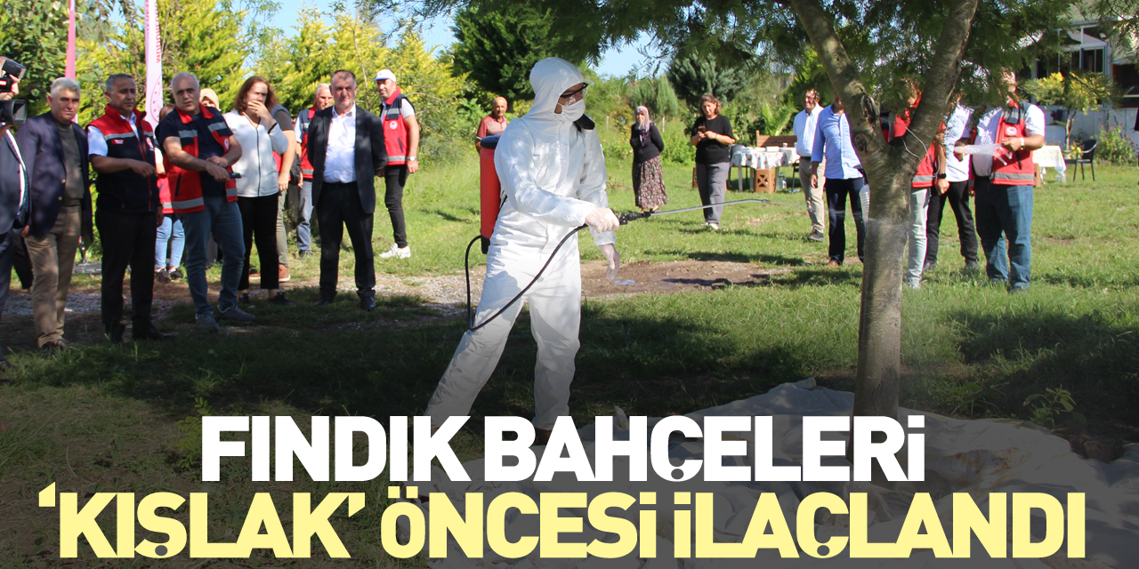 FINDIK BAHÇELERİ ‘KIŞLAK’ ÖNCESİ İLAÇLANDI