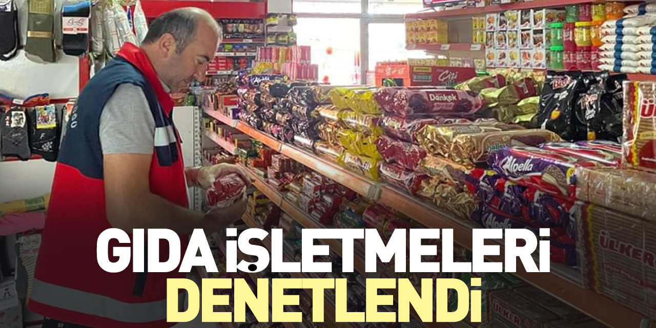 GIDA İŞLETMELERİ DENETLENDİ