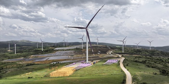 Türkiye'nin rüzgar enerjisi politikalarına övgü