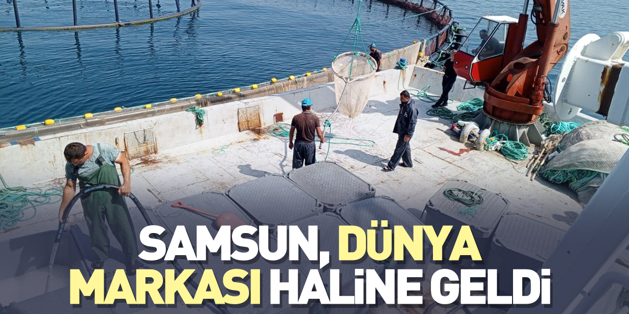 Samsun, dünya markası haline geldi