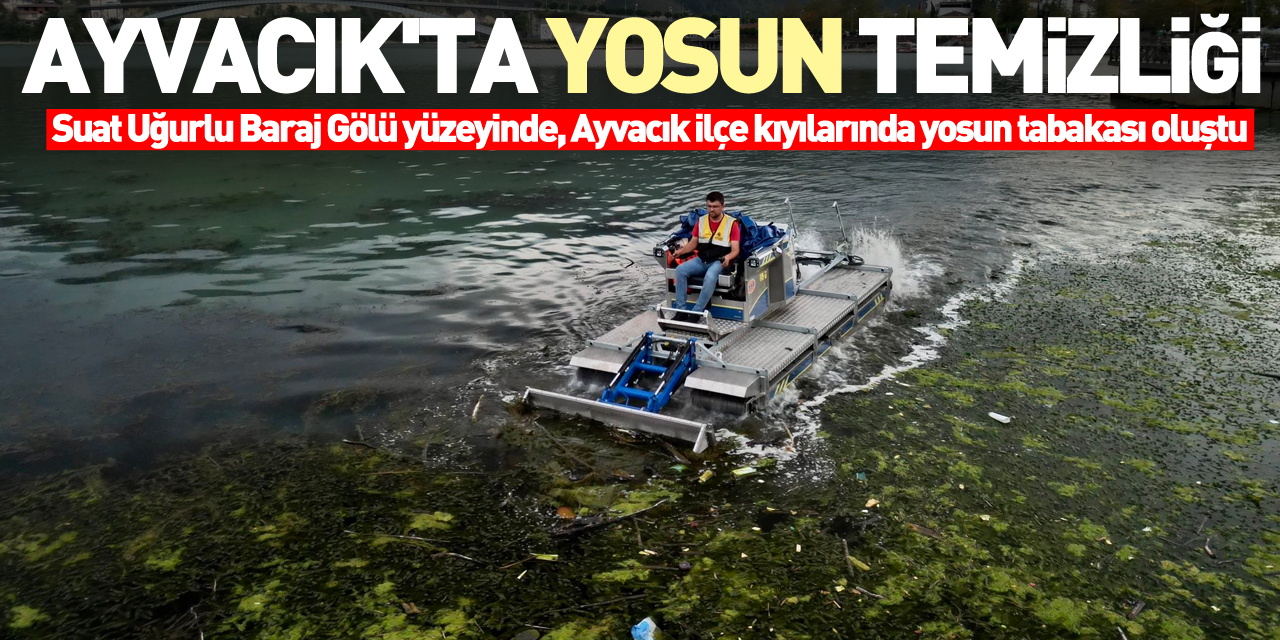 Ayvacık'ta yosun temizliği