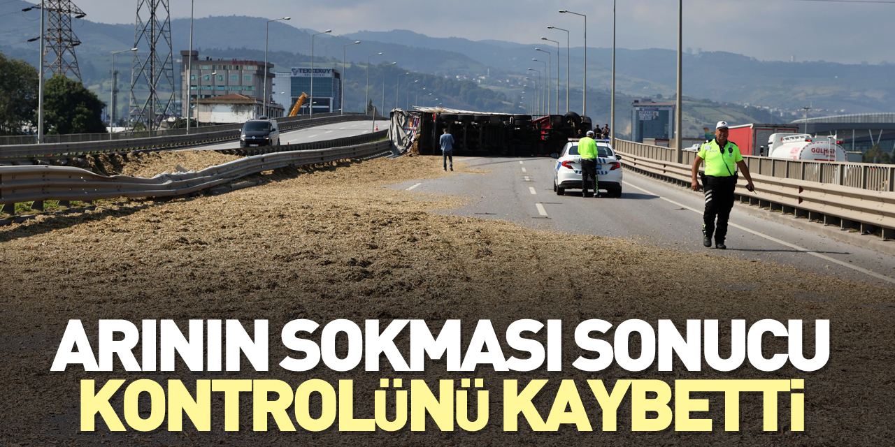 Arının sokması sonucu kontrolünü kaybetti