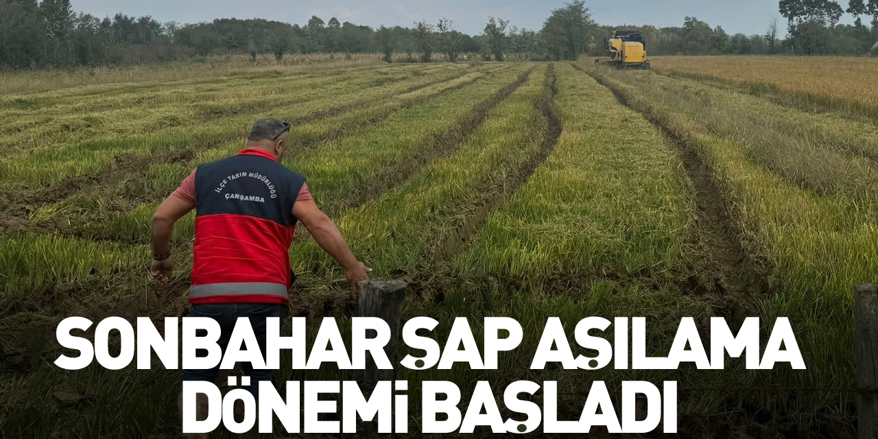 Sonbahar şap aşılama dönemi başladı