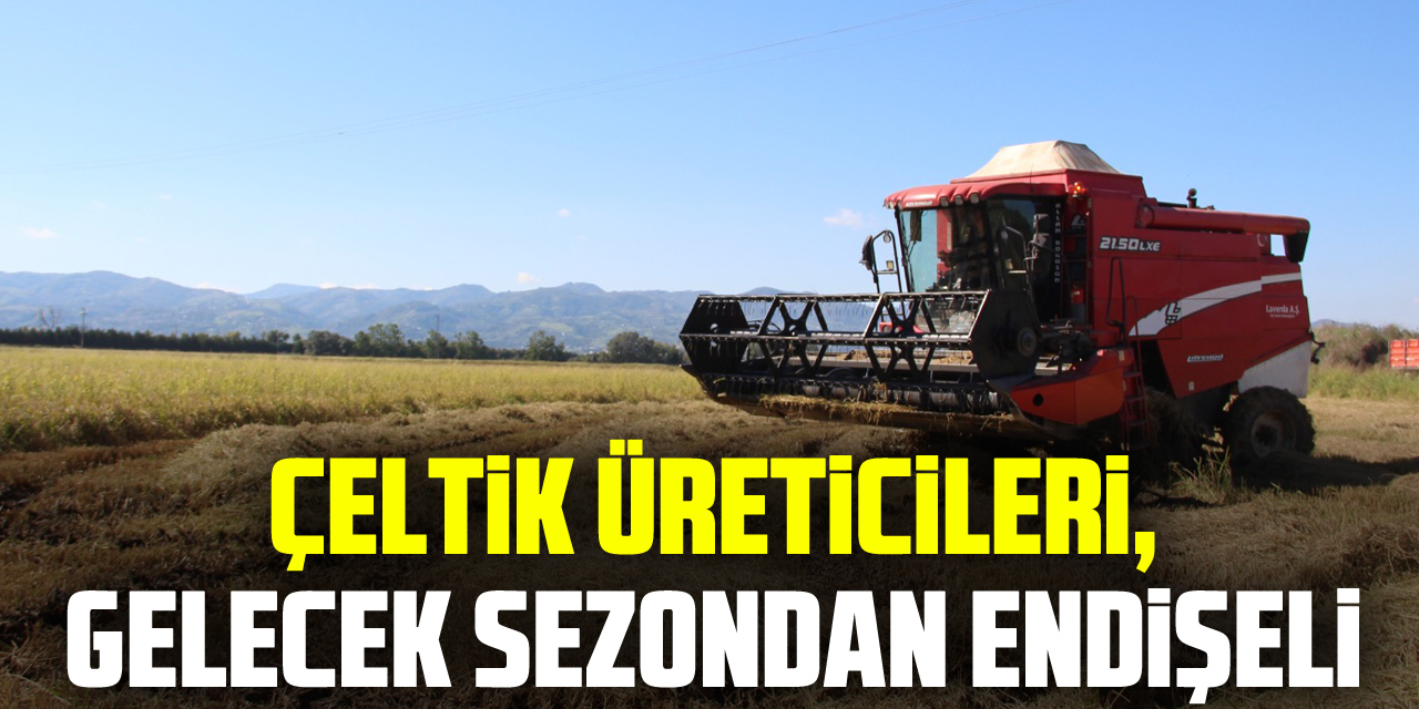 Çeltik üreticileri, gelecek sezondan endişeli