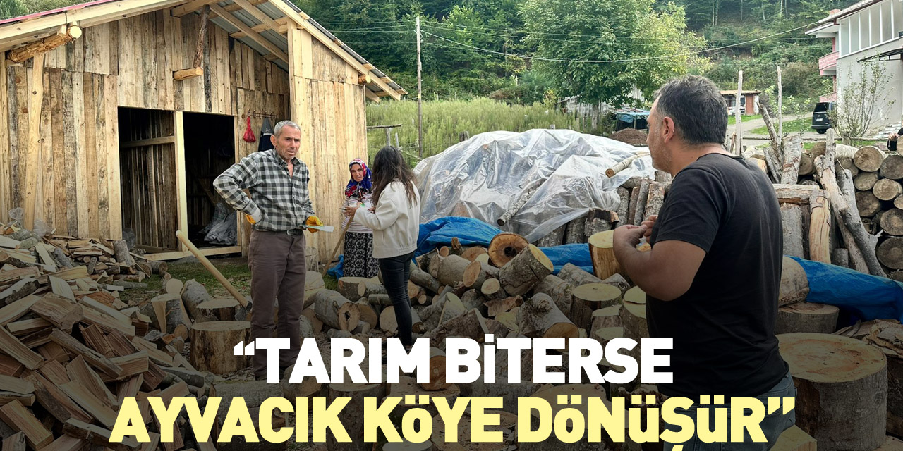 “Tarım biterse Ayvacık köye dönüşür”