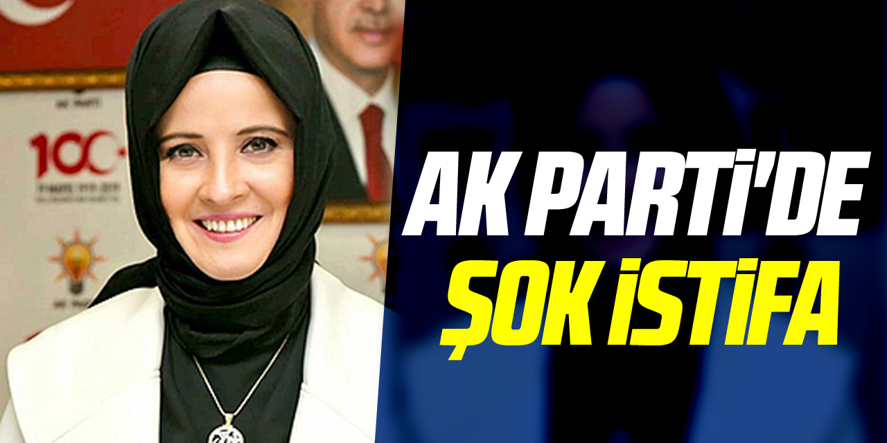 Ak Parti'de şok istifa