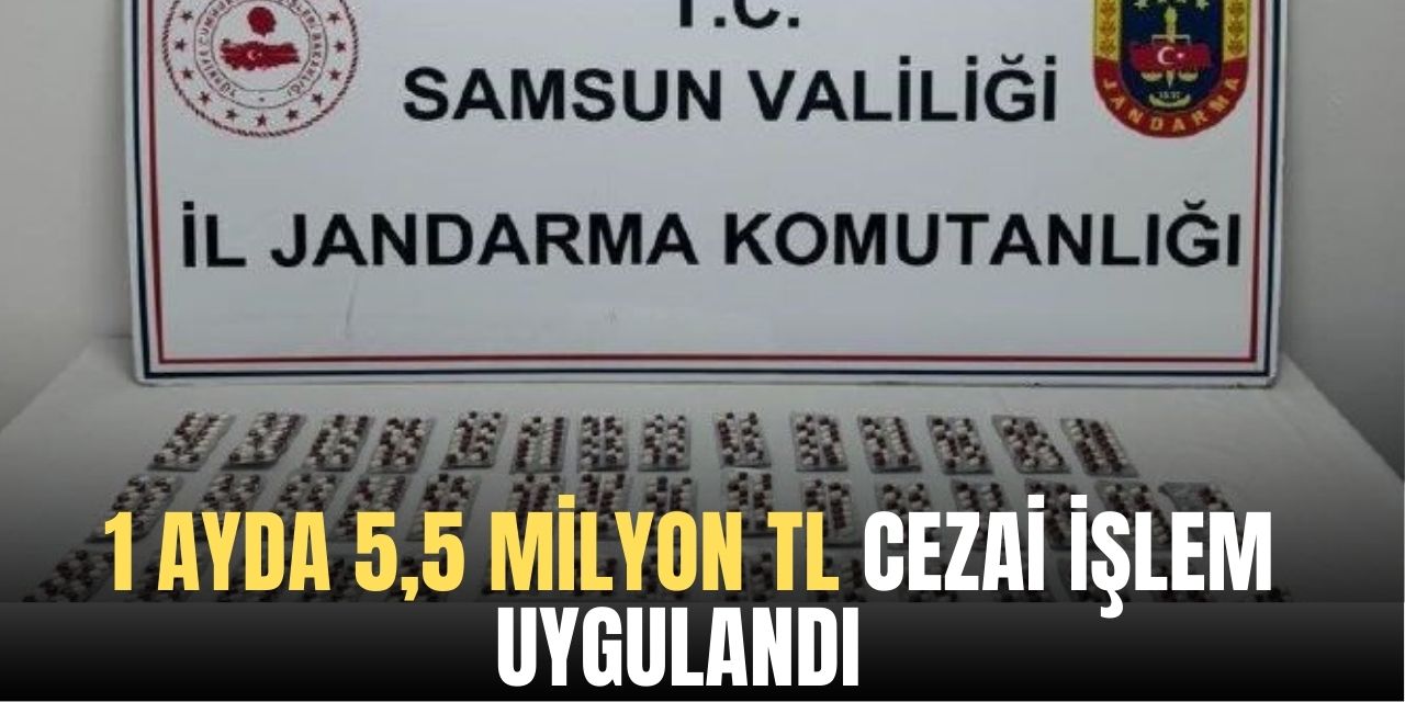 1 ayda 5,5 milyon TL cezai işlem uygulandı