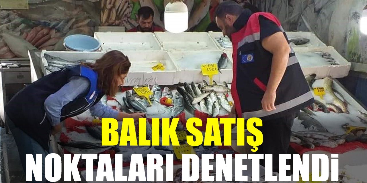 BALIK SATIŞ NOKTALARI DENETLENDİ