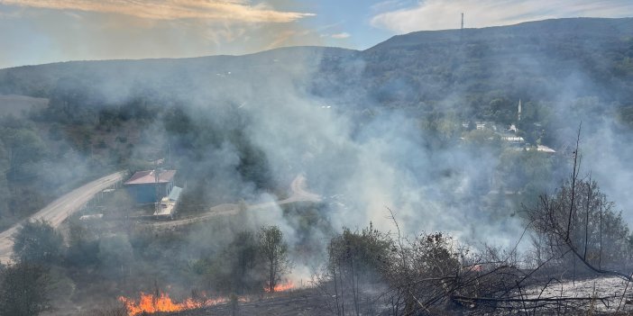 Yangın evlere ulaşmadan söndürüldü