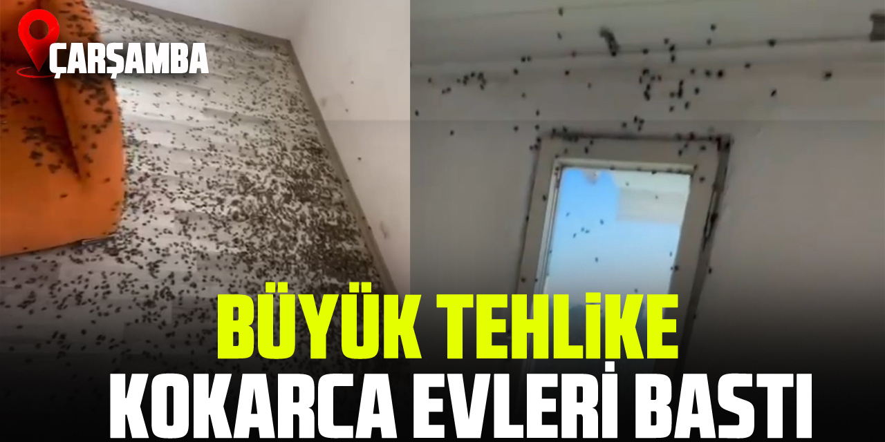 ÇARŞAMBA DA BÜYÜK TEHLİKE  KOKARCA EVLERİ BASTI