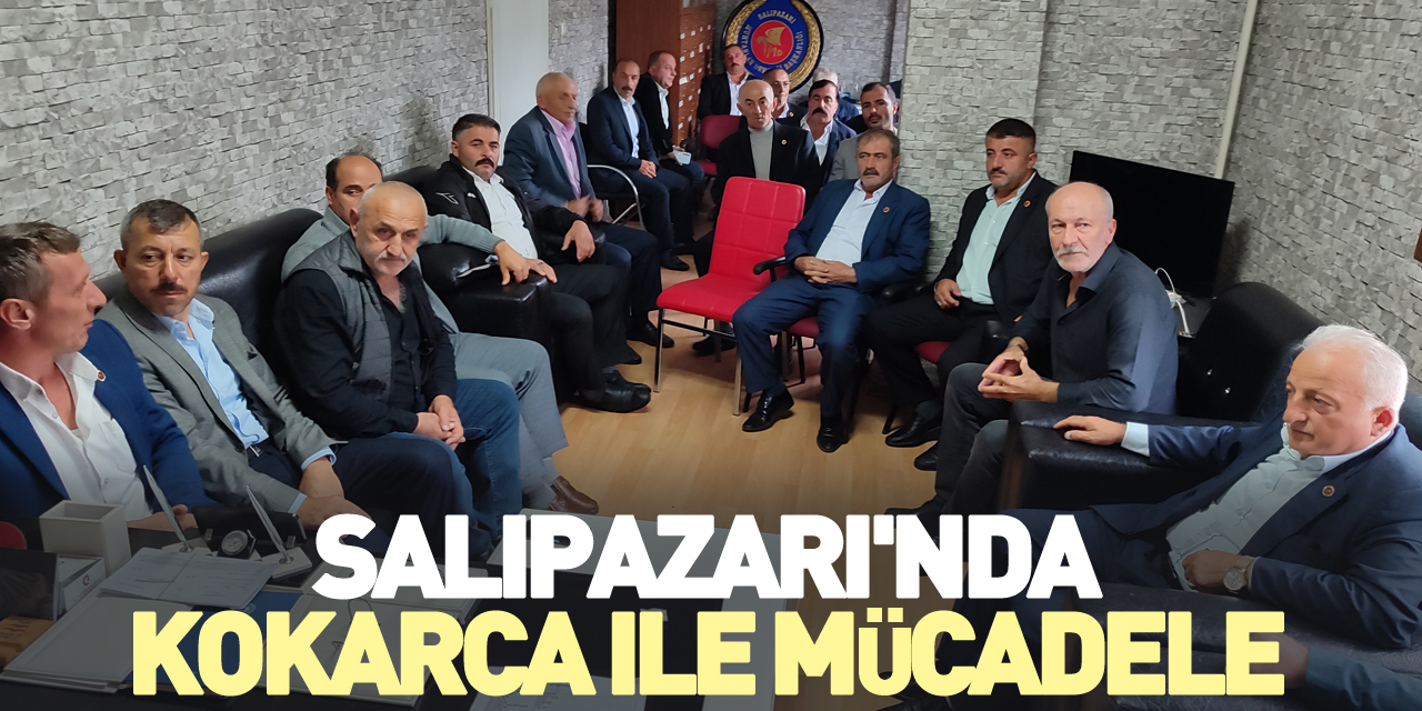 Salıpazarı'nda kokarca ile mücadele