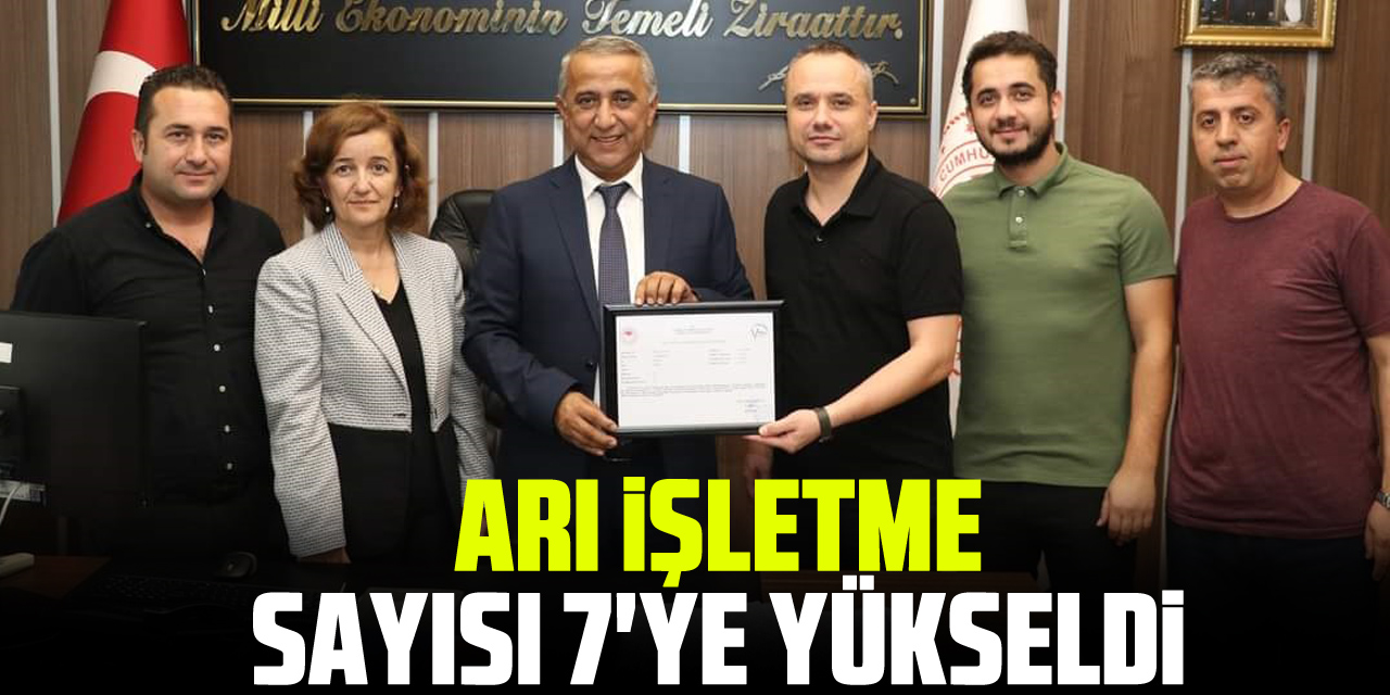 Samsun'da Arı İşletme Sayısı 7'ye Yükseldi